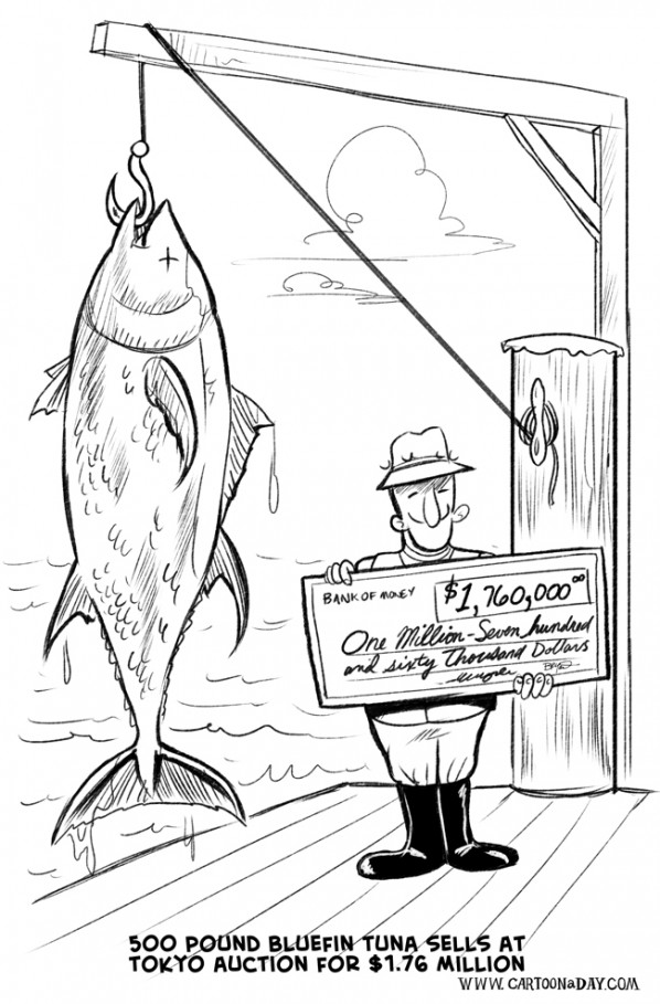 bluefin-tuna-cartoon