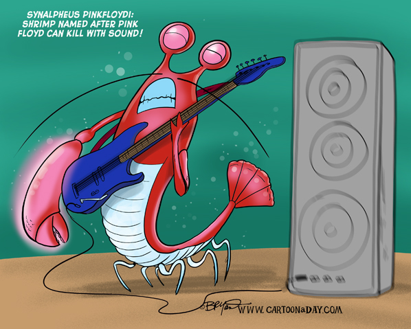 pink-floyd-shrimp-598