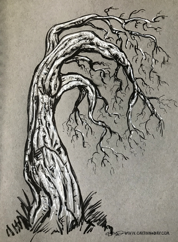 twiggy-tree-sketch-bent-598