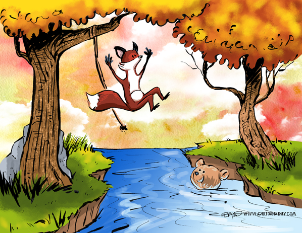 Fox-bear-swimming-hole-598