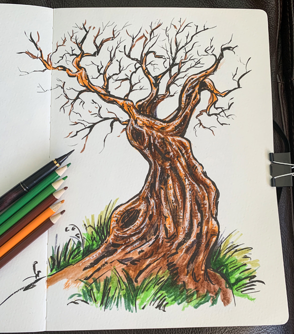 Twiggy Tree Sketchbook Colored Pencil ❤ Cartoon « Cartoon A Day